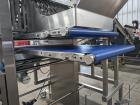 Quantum Conveyorized Topping Applicator With Reclaim Conveyor